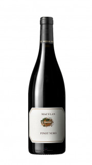 Pinot Nero Breganze DOC Maculan 2021