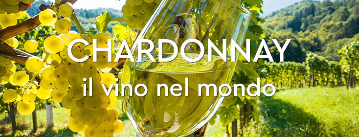 Chardonnay il vino nel mondo